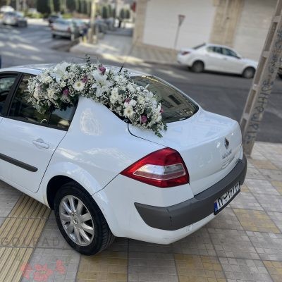 ماشین عروس مگان