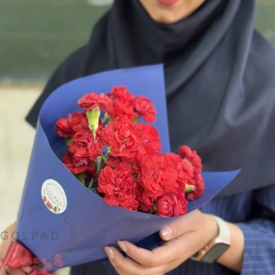 دسته گل فرنوش با میخک قرمز پر از عشق