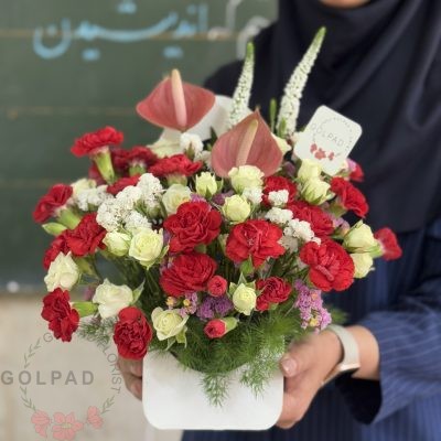 باکس زیبای فروهر خاص و منحصر به فرد