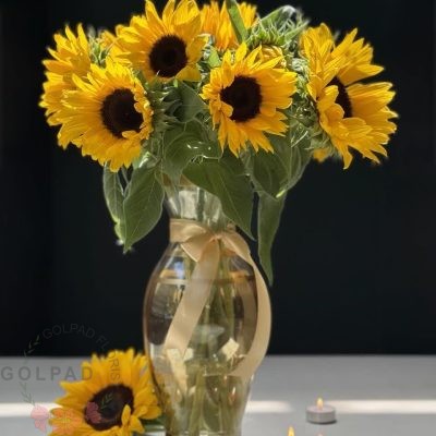 گلدان نورا زمزمه ی از گرمای زندگی