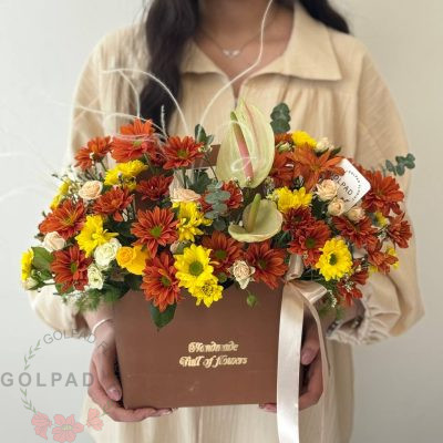 بگ گل وانیا | هدیهای شاداب