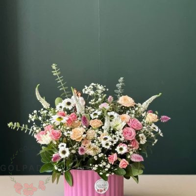 باکس گل درسا | ترکیبی چشمنواز